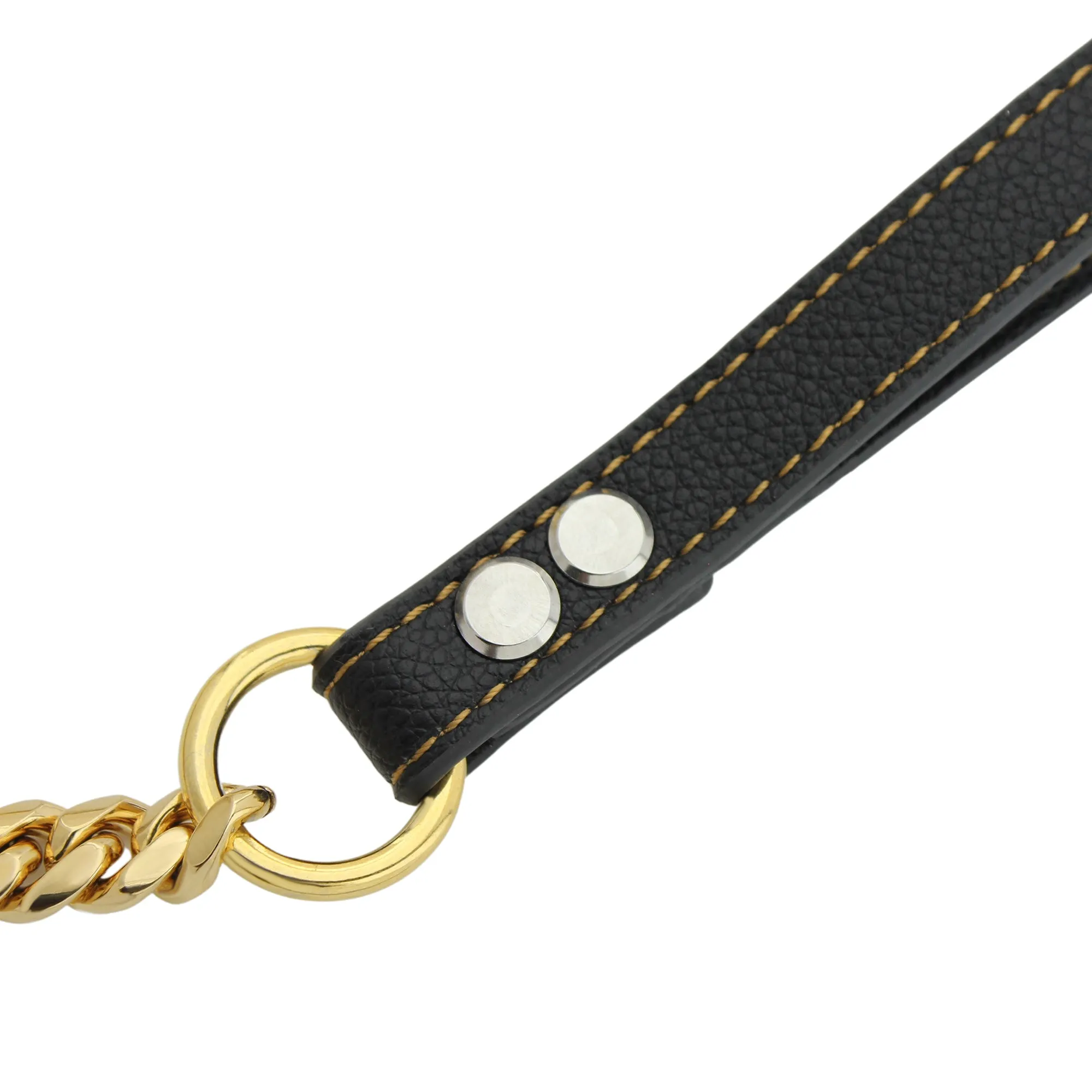 STYLEASH DOG COLLAR & LEASH