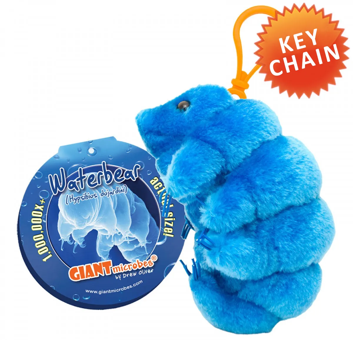 Waterbear (Hypsibius Dujardini) - GIANTmicrobes® Key Chain